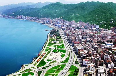 Rize Web Tasarım